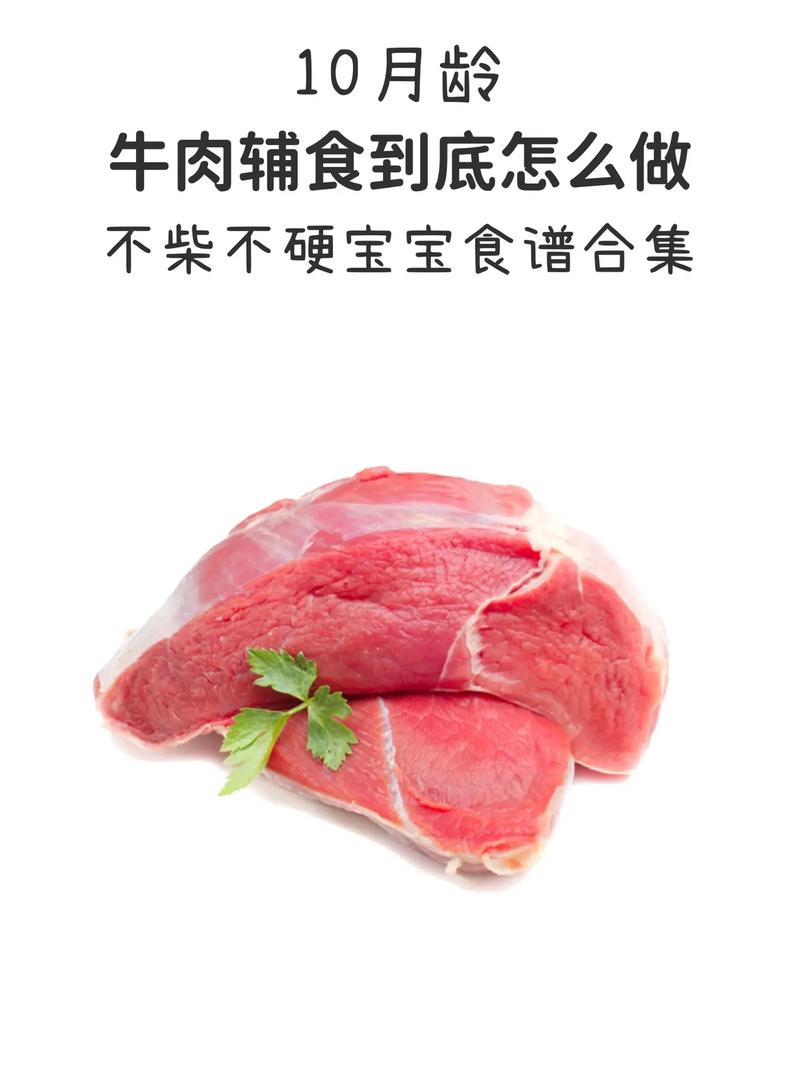 牛肉蛋白质